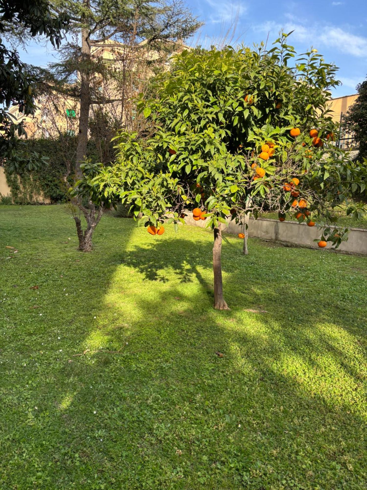 Grelly'S House - Holiday In Rome - 50 Meters From The Metro Exterior photo